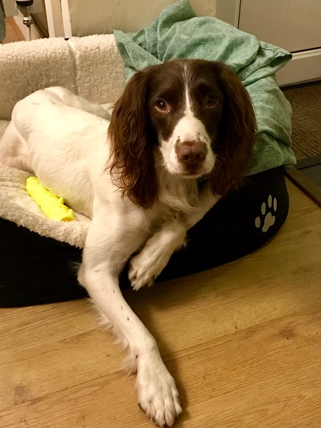 FullSizeRender (3).jpg